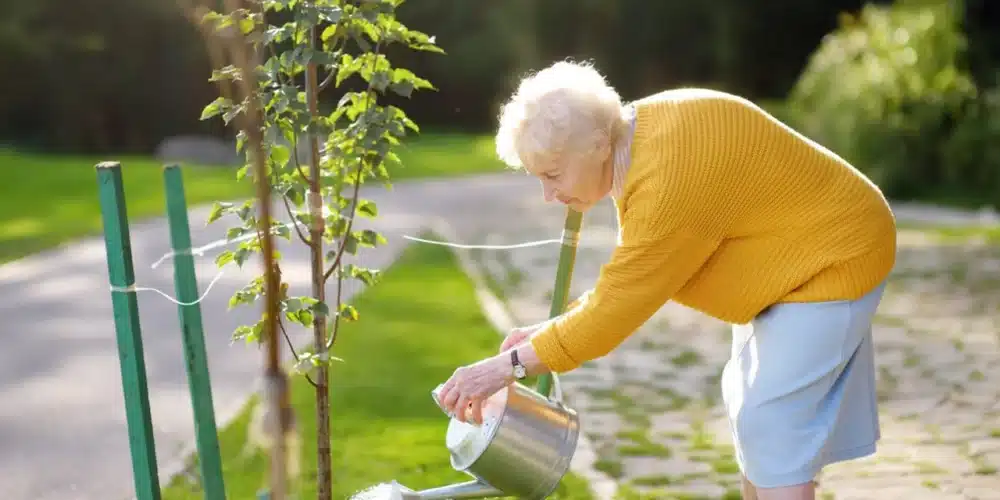 Cash Flow in Retirement: Why Covered Call ETFs Should Be Considered