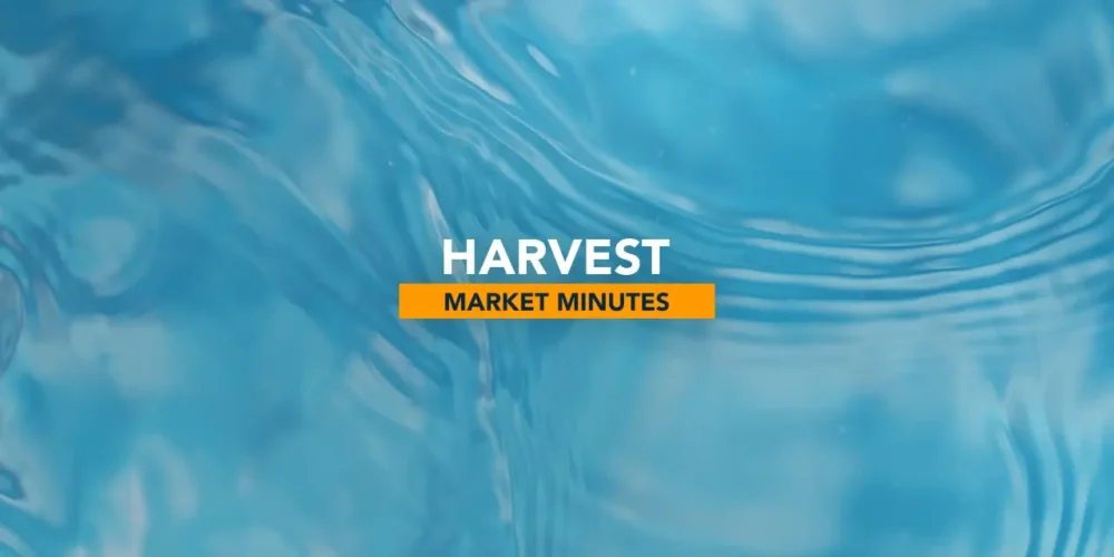 Harvest Low Volatility ETFs: Calm Investing in 2025