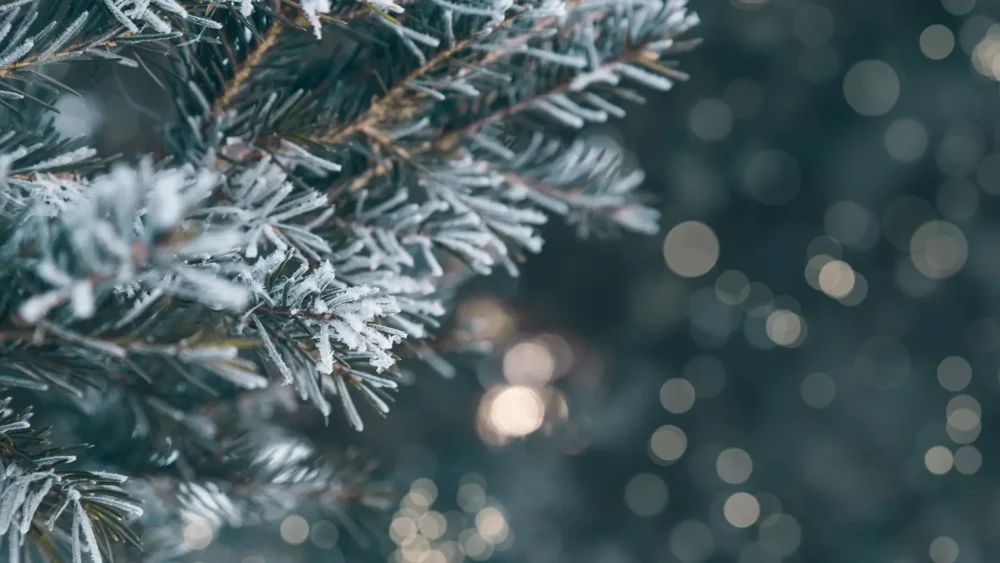 Harvest High Income Shares ETFs Announces December 2025 Distributions